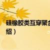 硅橡胶类互穿聚合物网络（关于硅橡胶类互穿聚合物网络介绍）