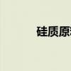 硅质原料（关于硅质原料介绍）