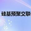 硅基预聚交联体（关于硅基预聚交联体介绍）