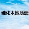 硅化木地质遗迹（关于硅化木地质遗迹介绍）