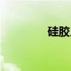 硅胶片（关于硅胶片介绍）