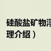 硅酸盐矿物浮选原理（关于硅酸盐矿物浮选原理介绍）