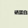 硒蛋白质（关于硒蛋白质介绍）