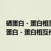 硒蛋白－蛋白相互作用及其与阿尔茨海默症的关系（关于硒蛋白－蛋白相互作用及其与阿尔茨海默症的关系介绍）