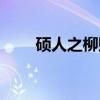 硕人之柳赋（关于硕人之柳赋介绍）