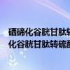 硒碲化谷胱甘肽转硫酶模拟谷胱甘肽过氧化物酶（关于硒碲化谷胱甘肽转硫酶模拟谷胱甘肽过氧化物酶介绍）