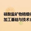 硅酸盐矿物精细化加工基础与技术（关于硅酸盐矿物精细化加工基础与技术介绍）