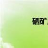 硒矿床（关于硒矿床介绍）