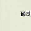 硝基漆（关于硝基漆介绍）