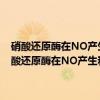 硝酸还原酶在NO产生和ABA调节的种子热休眠中的关键作用（关于硝酸还原酶在NO产生和ABA调节的种子热休眠中的关键作用介绍）