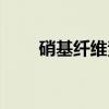 硝基纤维素（关于硝基纤维素介绍）
