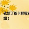 硫酸丁胺卡那霉素注射液（关于硫酸丁胺卡那霉素注射液介绍）