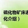 硫化物矿床表生变化（关于硫化物矿床表生变化介绍）