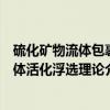 硫化矿物流体包裹体活化浮选理论（关于硫化矿物流体包裹体活化浮选理论介绍）