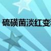 硫磺菌淡红变种（关于硫磺菌淡红变种介绍）