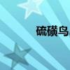 硫磺鸟岛(关于硫磺鸟岛介绍) 硫磺鸟岛(关于硫磺鸟岛介绍)