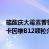 硫酸庆大霉素普鲁卡因维B12颗粒（关于硫酸庆大霉素普鲁卡因维B12颗粒介绍）