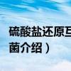 硫酸盐还原互营杆菌（关于硫酸盐还原互营杆菌介绍）