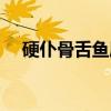 硬仆骨舌鱼属（关于硬仆骨舌鱼属介绍）