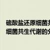 硫酸盐还原细菌共生代谢的分子机制研究（关于硫酸盐还原细菌共生代谢的分子机制研究介绍）