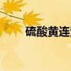 硫酸黄连素（关于硫酸黄连素介绍）