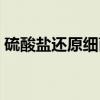 硫酸盐还原细菌（关于硫酸盐还原细菌介绍）