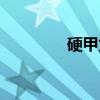 硬甲龙（关于硬甲龙介绍）