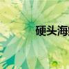 硬头海鲇（关于硬头海鲇介绍）