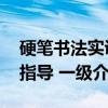 硬笔书法实训指导 一级（关于硬笔书法实训指导 一级介绍）