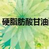 硬脂肪酸甘油酯（关于硬脂肪酸甘油酯介绍）