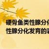 硬骨鱼类性腺分化发育的表观遗传机制研究（关于硬骨鱼类性腺分化发育的表观遗传机制研究介绍）
