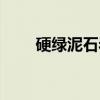 硬绿泥石岩（关于硬绿泥石岩介绍）