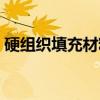 硬组织填充材料（关于硬组织填充材料介绍）