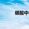 硼酸中毒(关于硼酸中毒介绍) 硼酸中毒(关于硼酸中毒介绍)