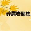 碎屑岩储集层（关于碎屑岩储集层介绍）