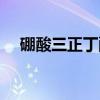 硼酸三正丁酯（关于硼酸三正丁酯介绍）