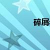碎屑岩（关于碎屑岩介绍）