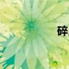 碎义（关于碎义介绍）