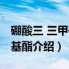 硼酸三 三甲硅烷基酯（关于硼酸三 三甲硅烷基酯介绍）