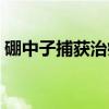 硼中子捕获治疗（关于硼中子捕获治疗介绍）