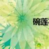 碗莲花（关于碗莲花介绍）