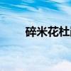 碎米花杜鹃（关于碎米花杜鹃介绍）