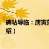 碑帖导临：唐寅落花诗帖（关于碑帖导临：唐寅落花诗帖介绍）
