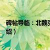 碑帖导临：北魏张猛龙碑（关于碑帖导临：北魏张猛龙碑介绍）
