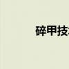 碎甲技术（关于碎甲技术介绍）