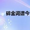 碎金词谱今译（关于碎金词谱今译介绍）