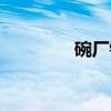 碗厂镇（关于碗厂镇介绍）