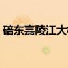 碚东嘉陵江大桥（关于碚东嘉陵江大桥介绍）