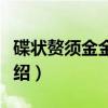 碟状赘须金金小蜂（关于碟状赘须金金小蜂介绍）
