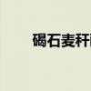碣石麦秆画（关于碣石麦秆画介绍）